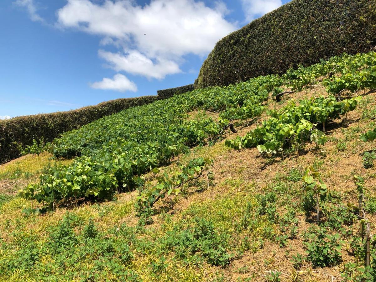 Quinta Do Pico Villa Ponta Delgada Eksteriør bilde